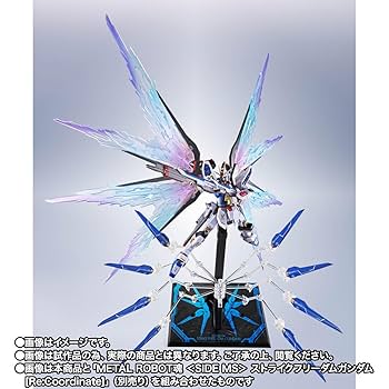 Amazon | METAL ROBOT魂 ＜SIDE MS＞ ストライクフリーダム ガ